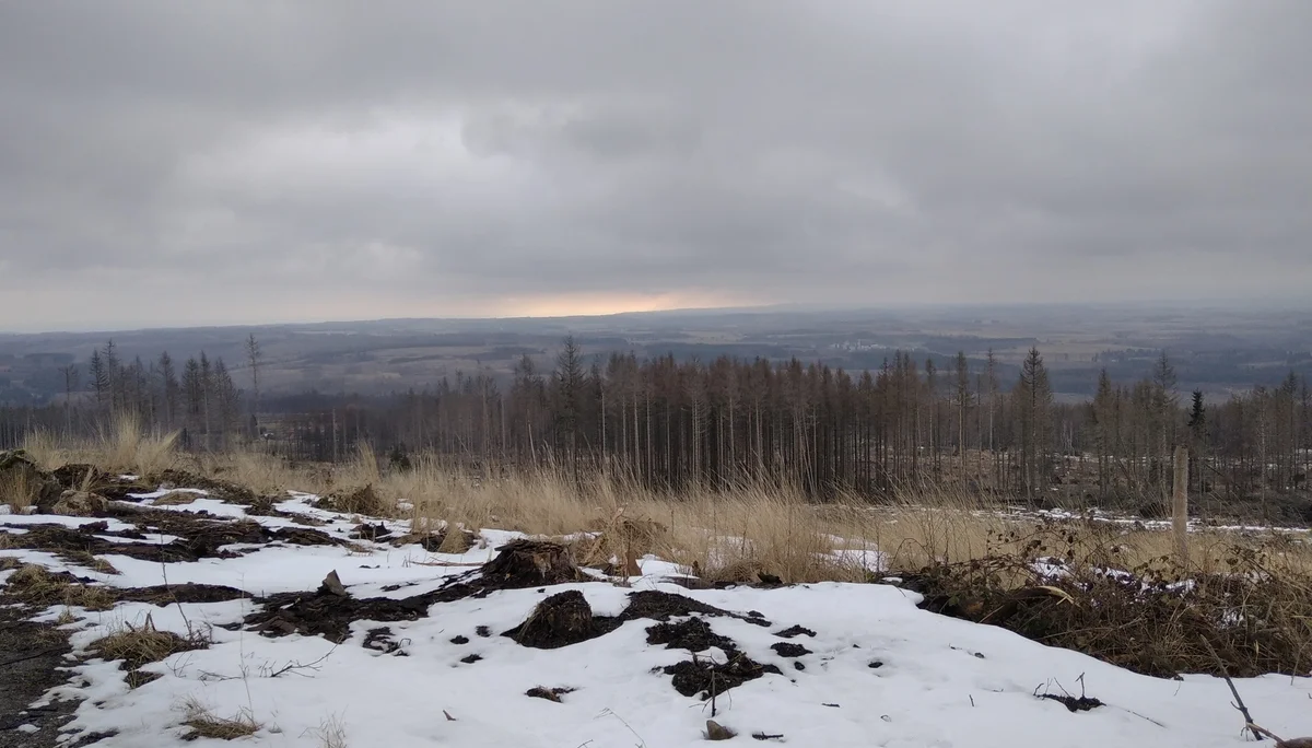 Lichtblick über trostlosen Flächen | © Paul Hoffmann 2022