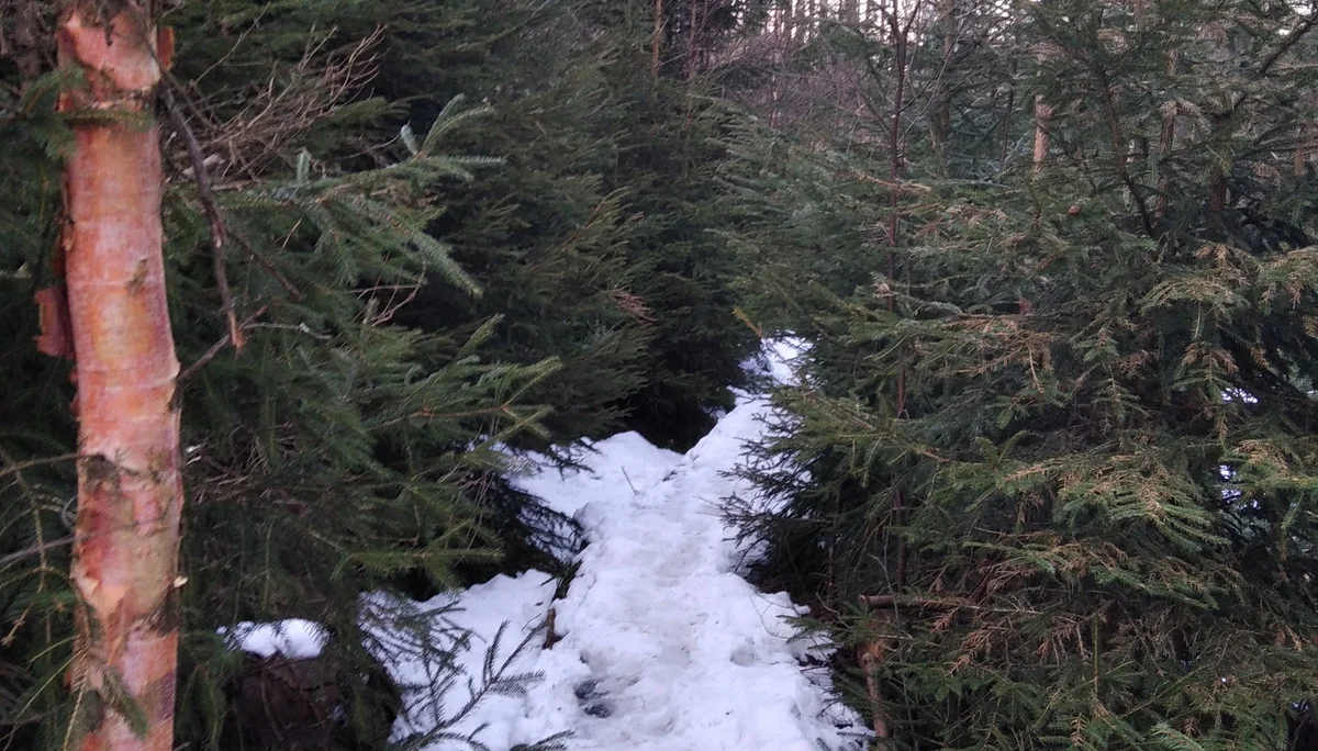 einfache Wegfindung... | © Paul Hoffmann 2022