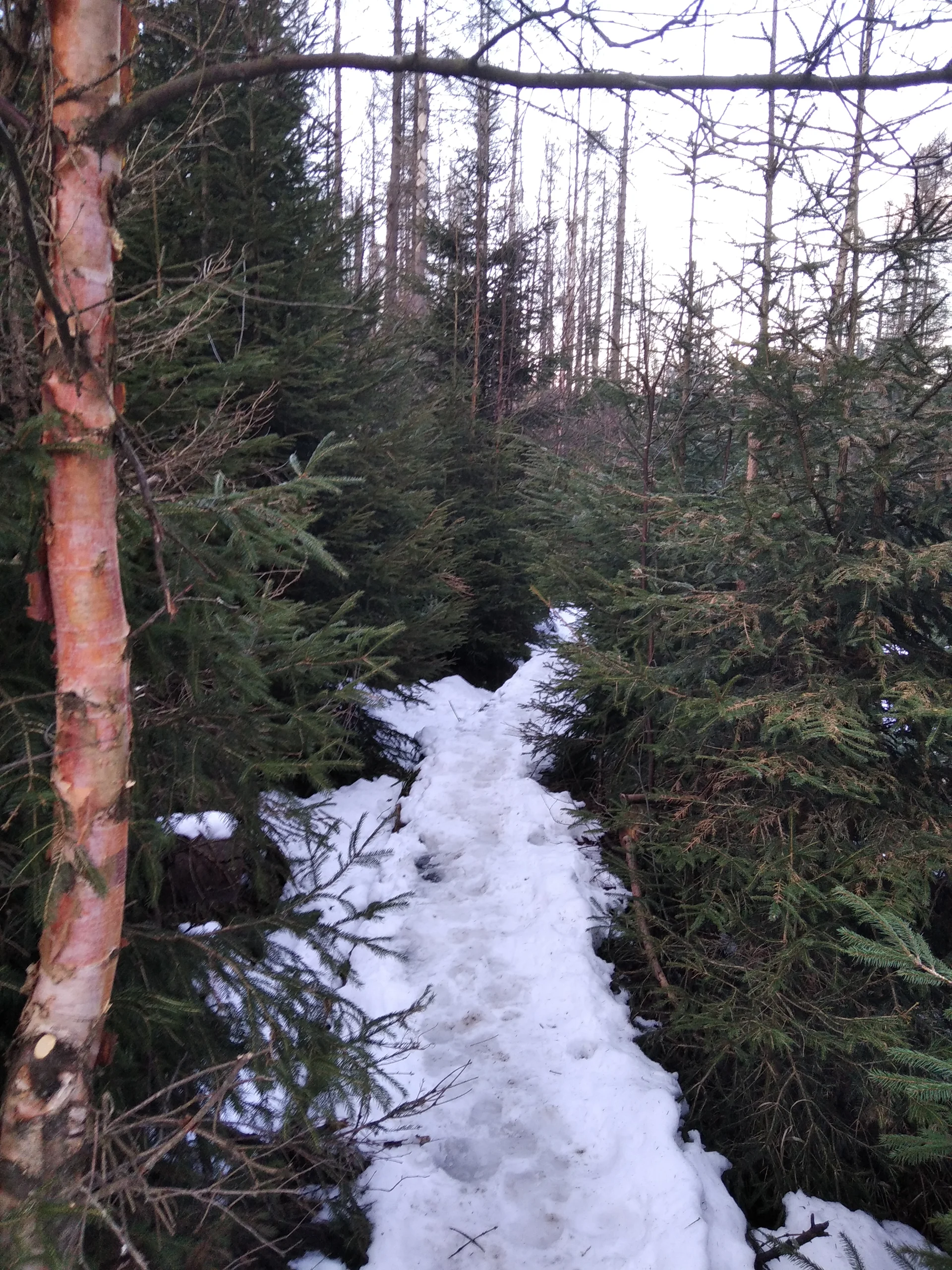 einfache Wegfindung... | © Paul Hoffmann 2022