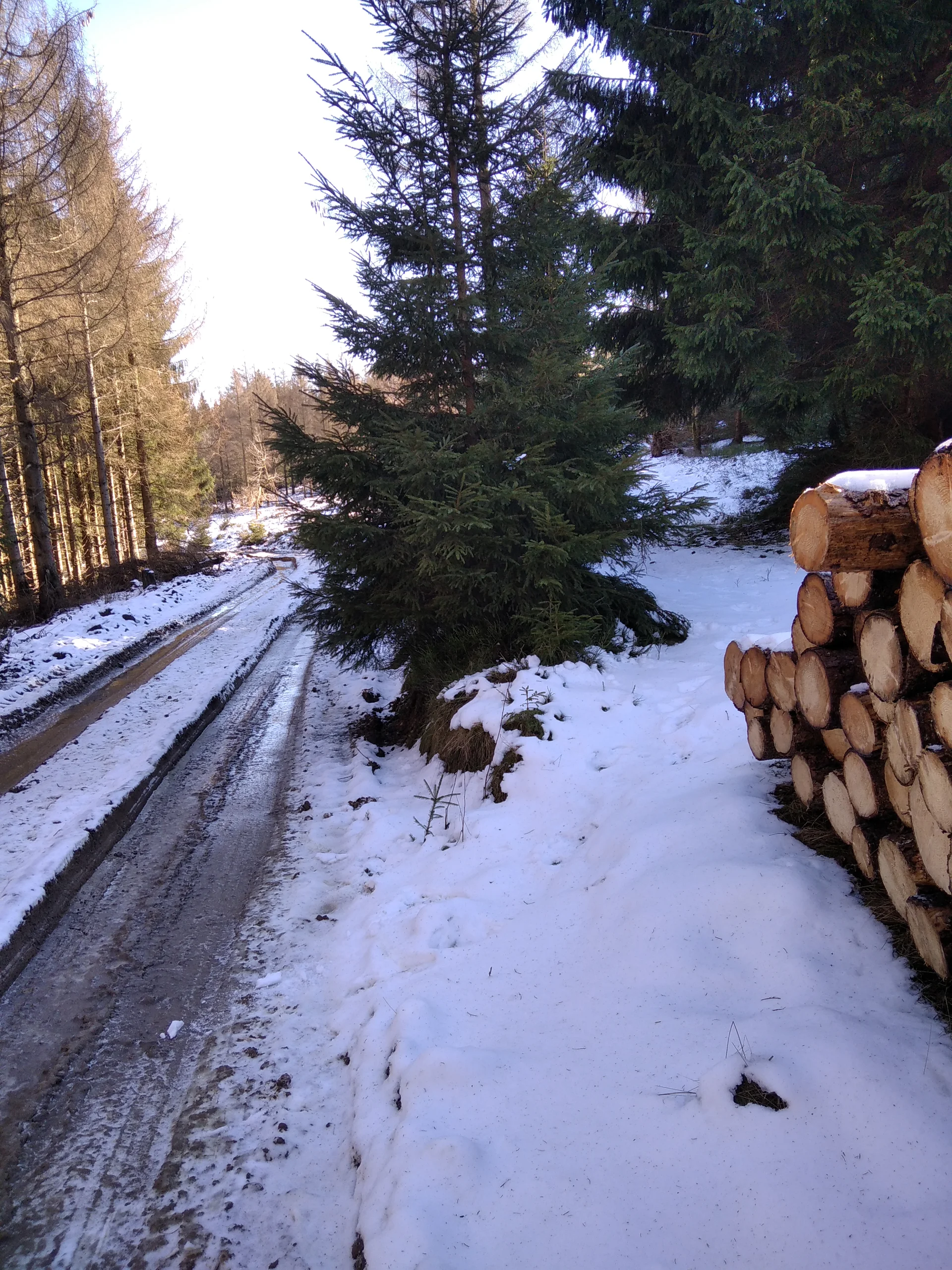 DAS ist ein Wegabzweig?! | © Paul Hoffmann 2022