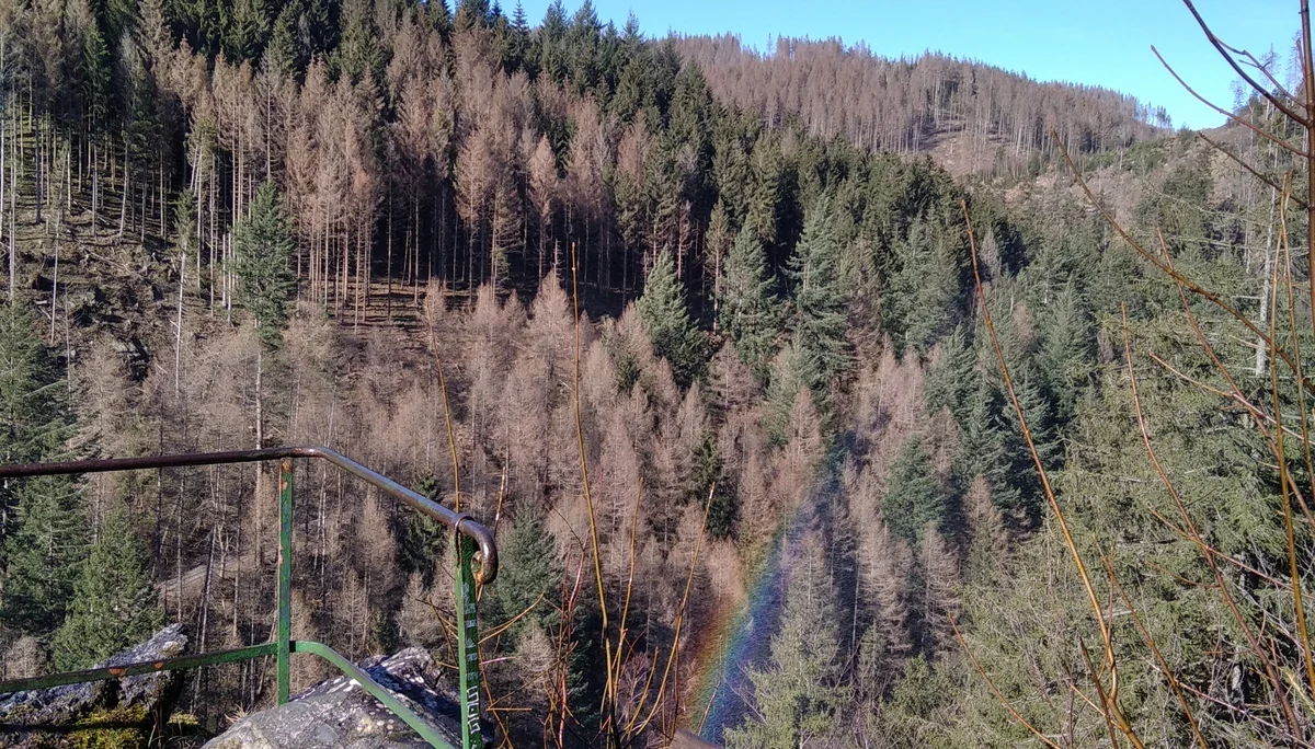 Gischt-Regenbogen am Romker-Wasserfall | © Paul Hoffmann 2022
