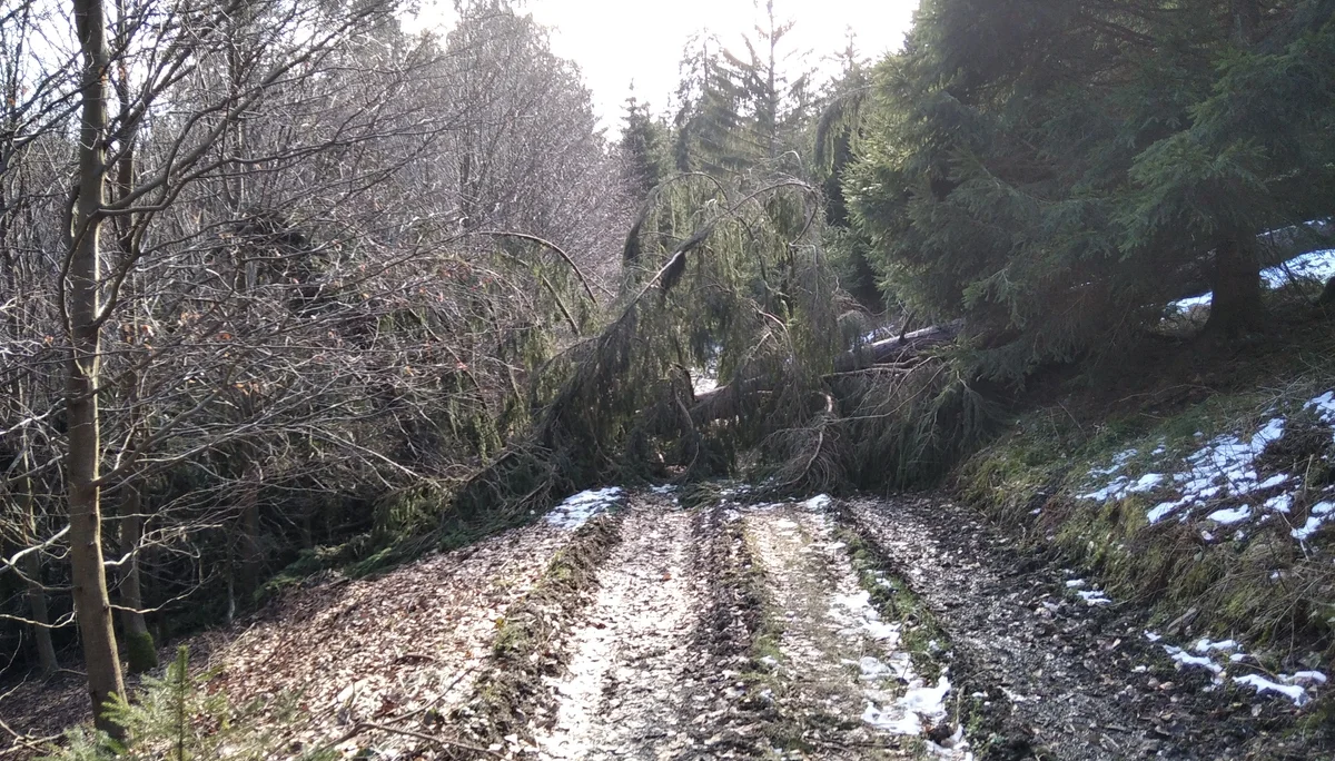 ein noch harmloses Hindernis | © Paul Hoffmann 2022