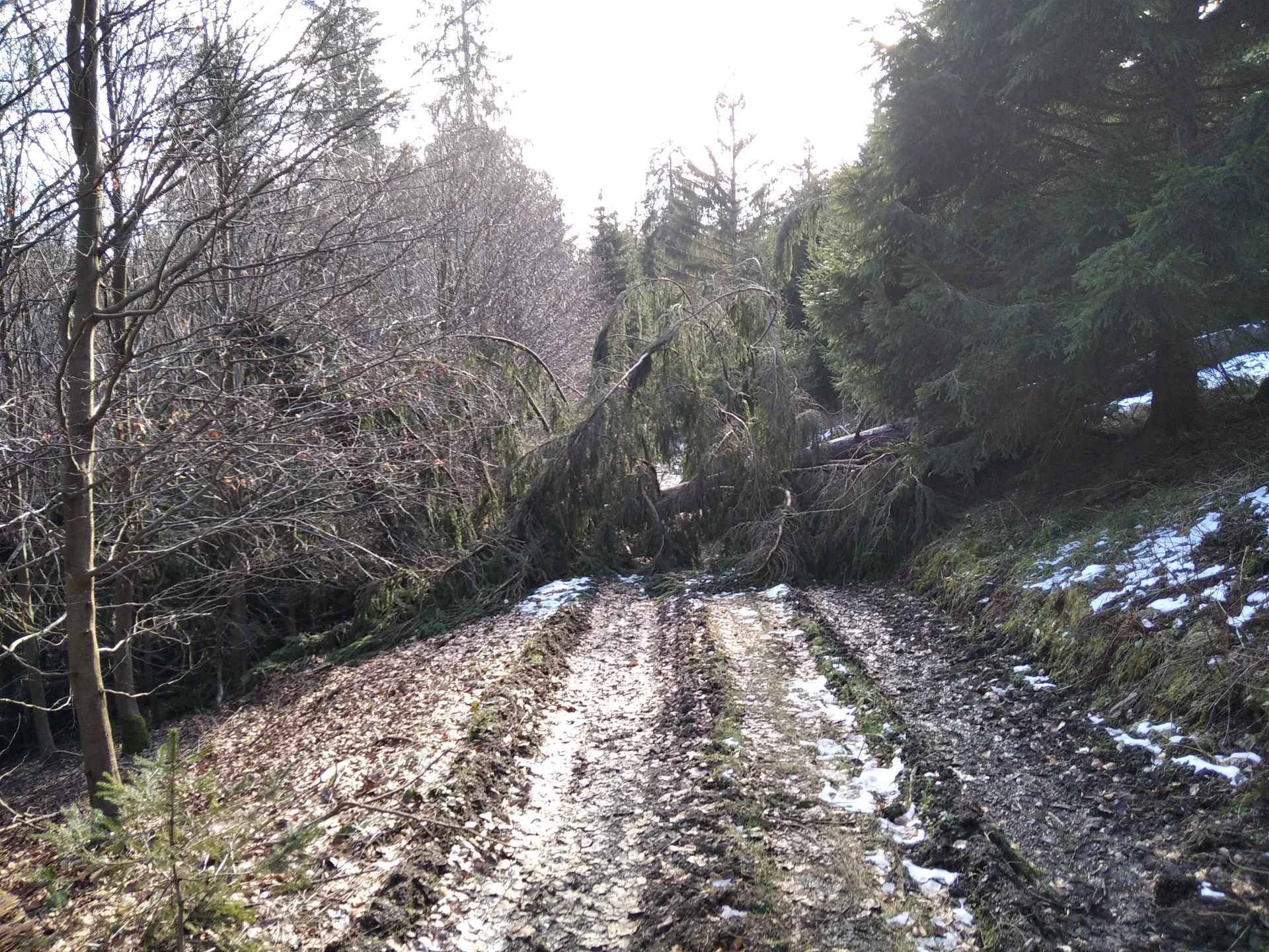 ein noch harmloses Hindernis | © Paul Hoffmann 2022