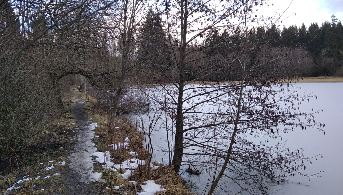 einsame Idylle am Marienteich | © Paul Hoffmann 2022