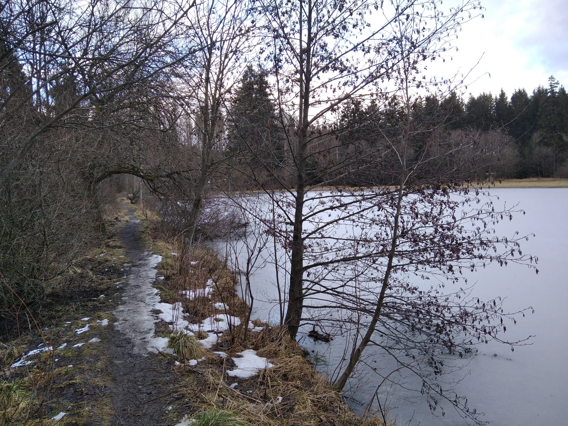 einsame Idylle am Marienteich | © Paul Hoffmann 2022
