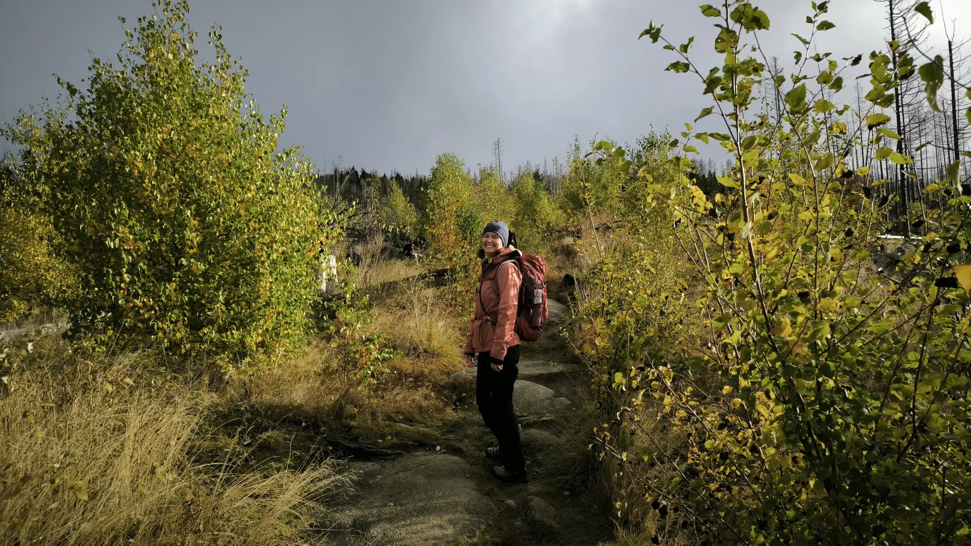 Harzwandern im Herbst | © DAV Magdeburg