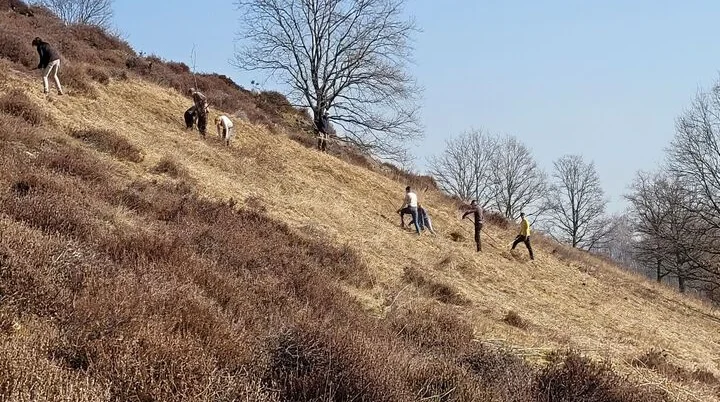 Harsleber Berge Einsatz | © DAV Magdeburg