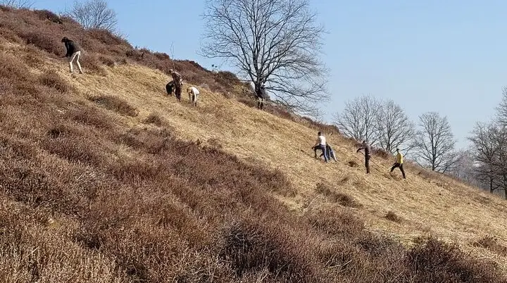 Harsleber Berge Einsatz | © DAV Magdeburg