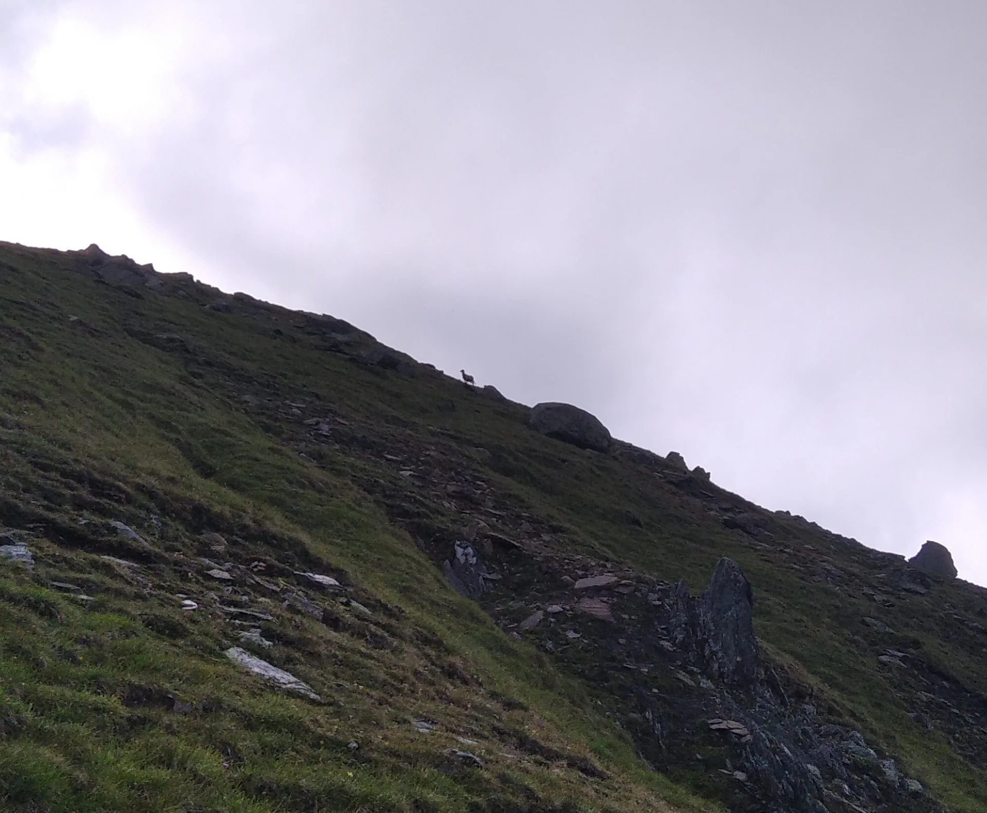 am Horizont "drohen" Schafe | © Paul Hoffmann 2023