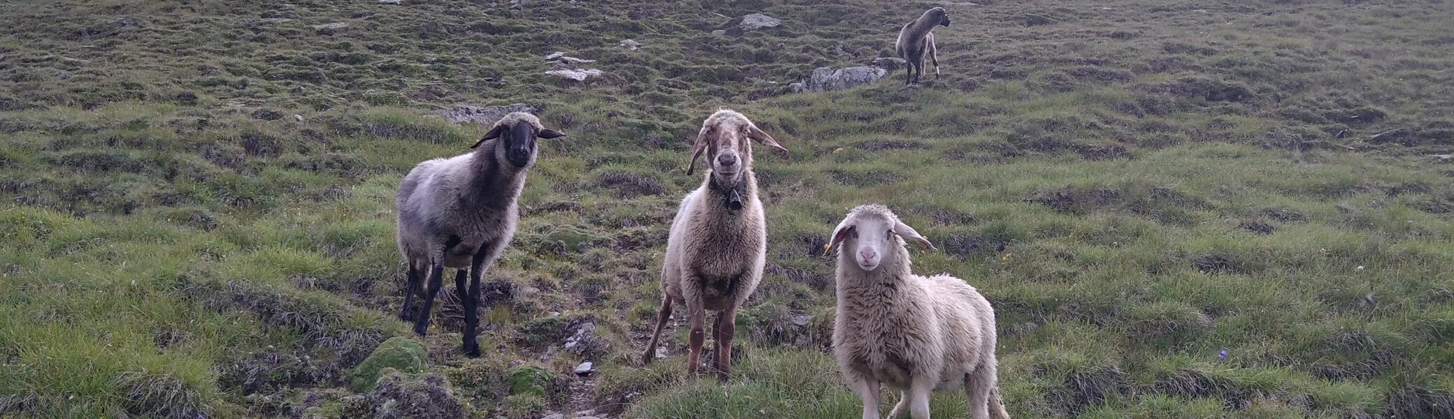 Mensch, was willst du hier? | © Paul Hoffmann 2023