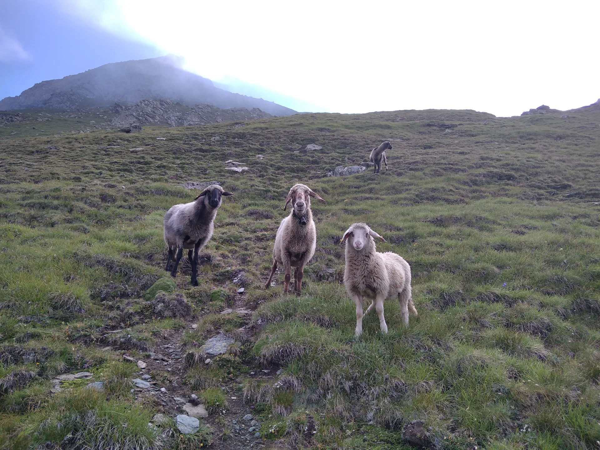 Mensch, was willst du hier? | © Paul Hoffmann 2023