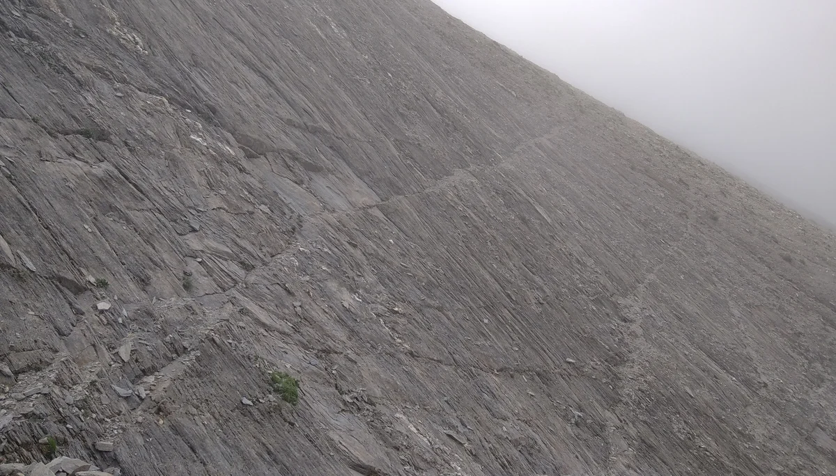 Schafsteig, nicht für Menschen! | © Paul Hoffmann 2023