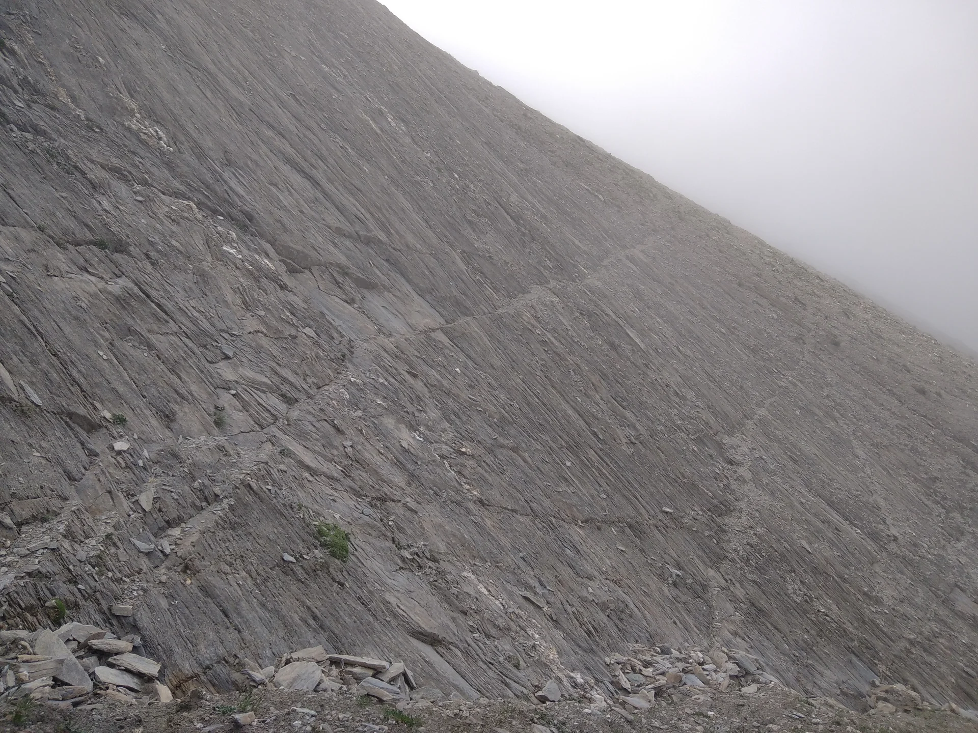 Schafsteig, nicht für Menschen! | © Paul Hoffmann 2023
