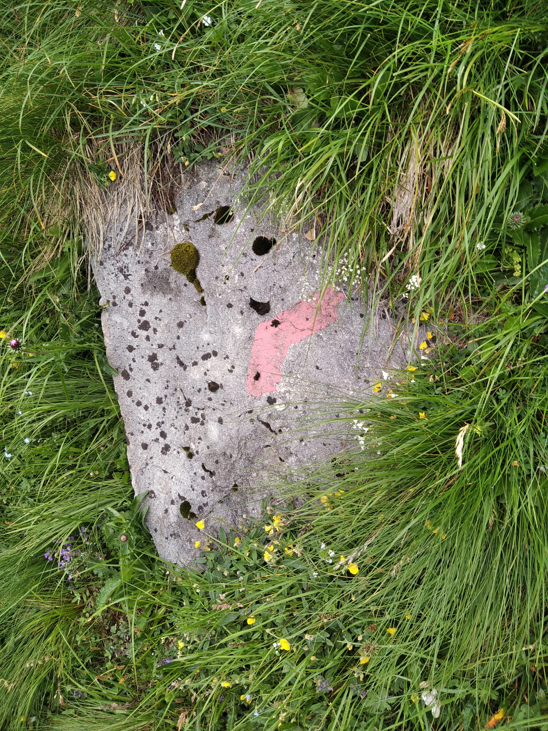 alte Wegmarkierung auf der Alpenkönigroute | © Paul Hoffmann 2023