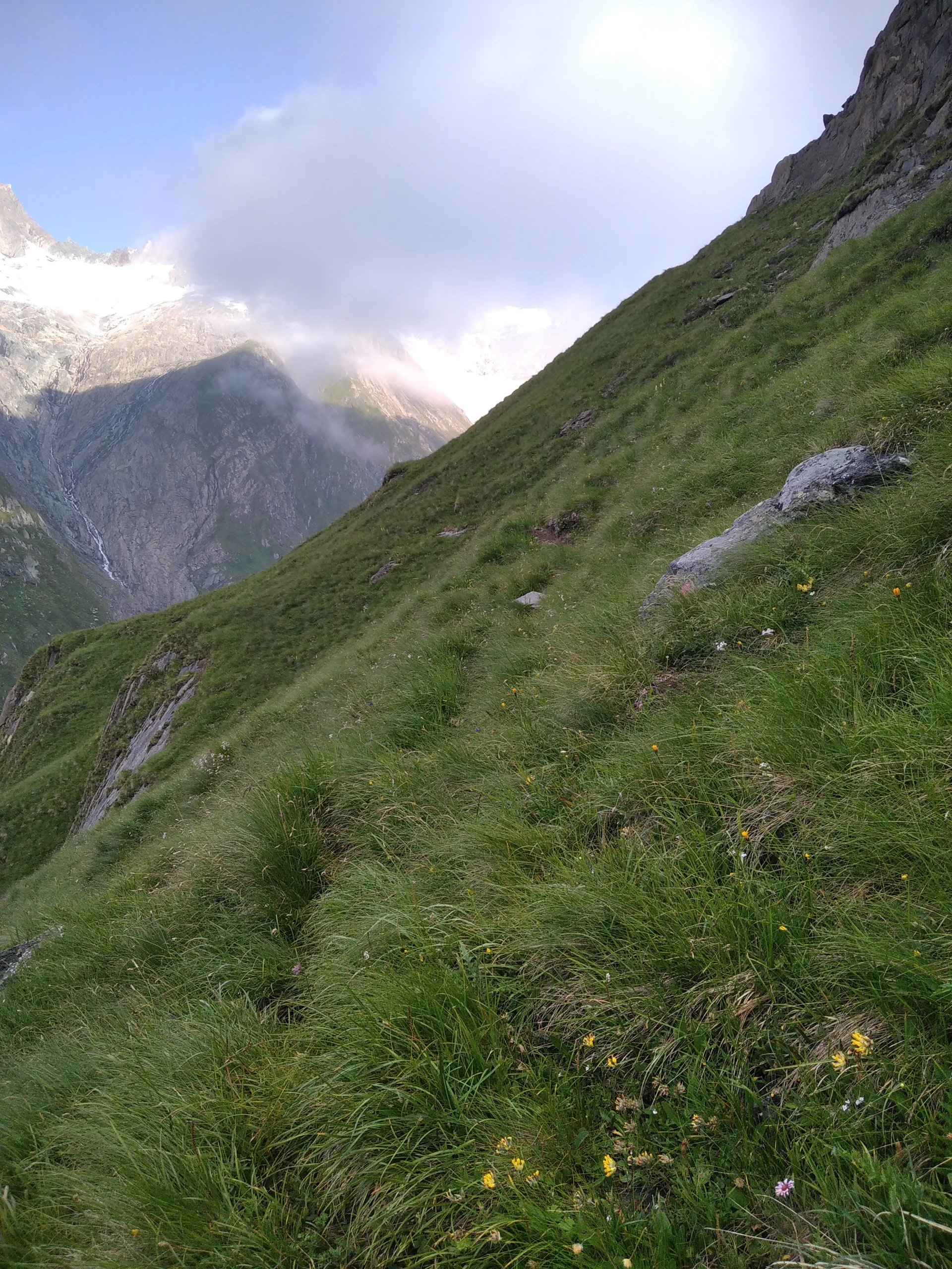 Wegspur zugewachsen auf der Alpenkönigroute | © Paul Hoffmann 2023