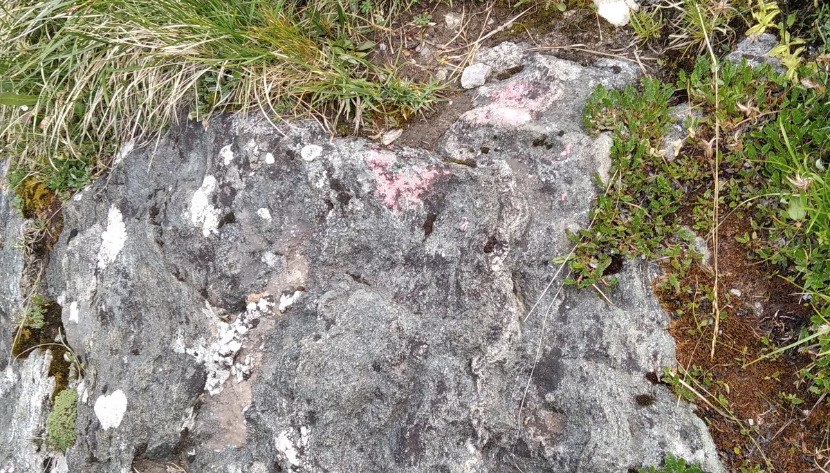 schwache Wegmarkierung auf der Alpenkönigroute | © Paul Hoffmann 2023