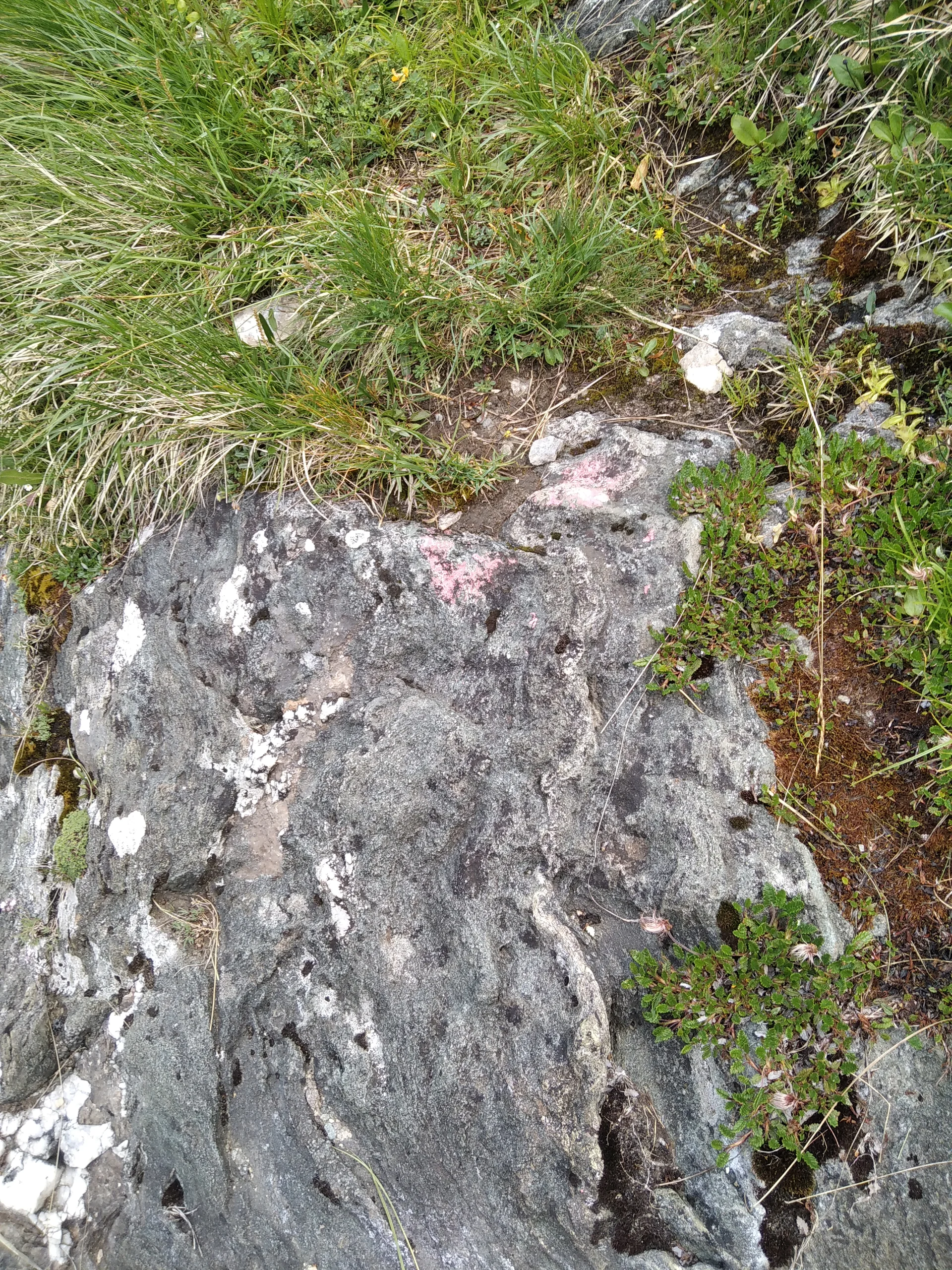 schwache Wegmarkierung auf der Alpenkönigroute | © Paul Hoffmann 2023