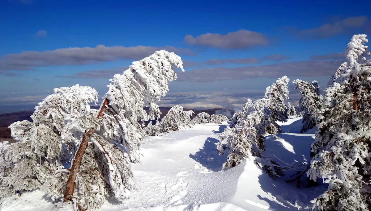 Brocken 2022 Brockenblick | © Ulrich Hoeding 