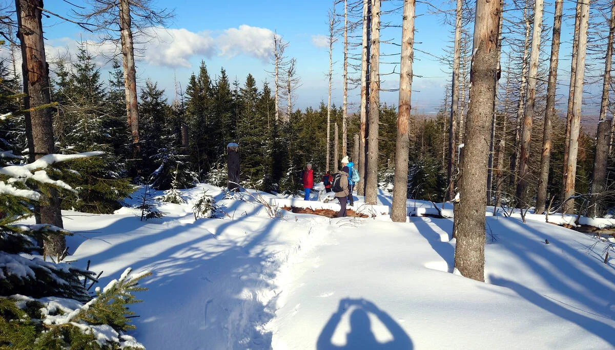 Brocken 2022 Glashüttenweg | © Ulrich Hoeding