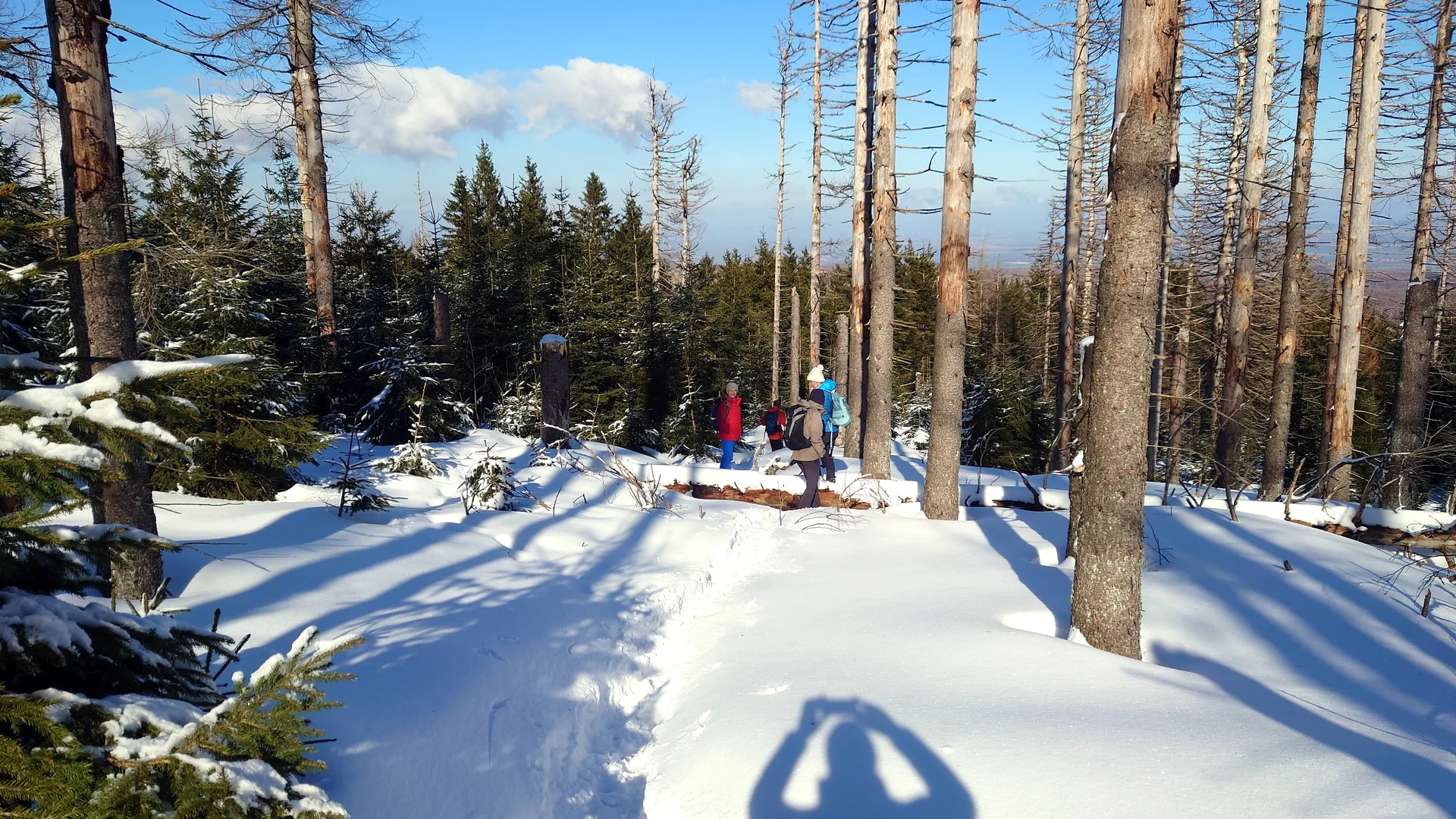 Brocken 2022 Glashüttenweg | © Ulrich Hoeding