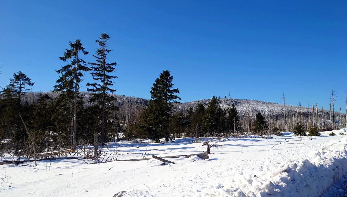 Brocken 2022 Blick vom Gelben Brink | © Ulrich Hoeding