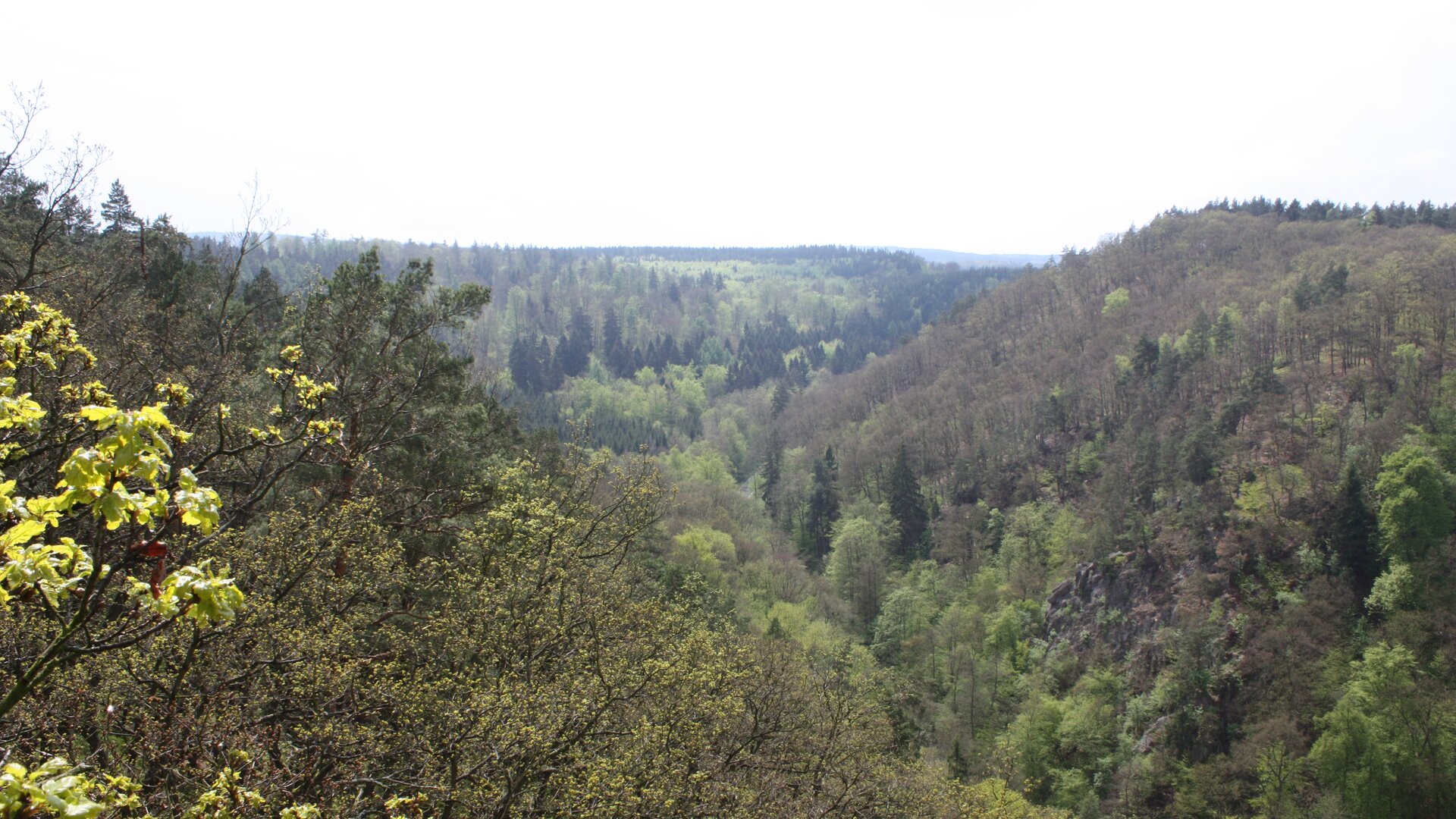Harz 2017 | © DAV Magdeburg Harz 2017 | © DAV Magdeburg