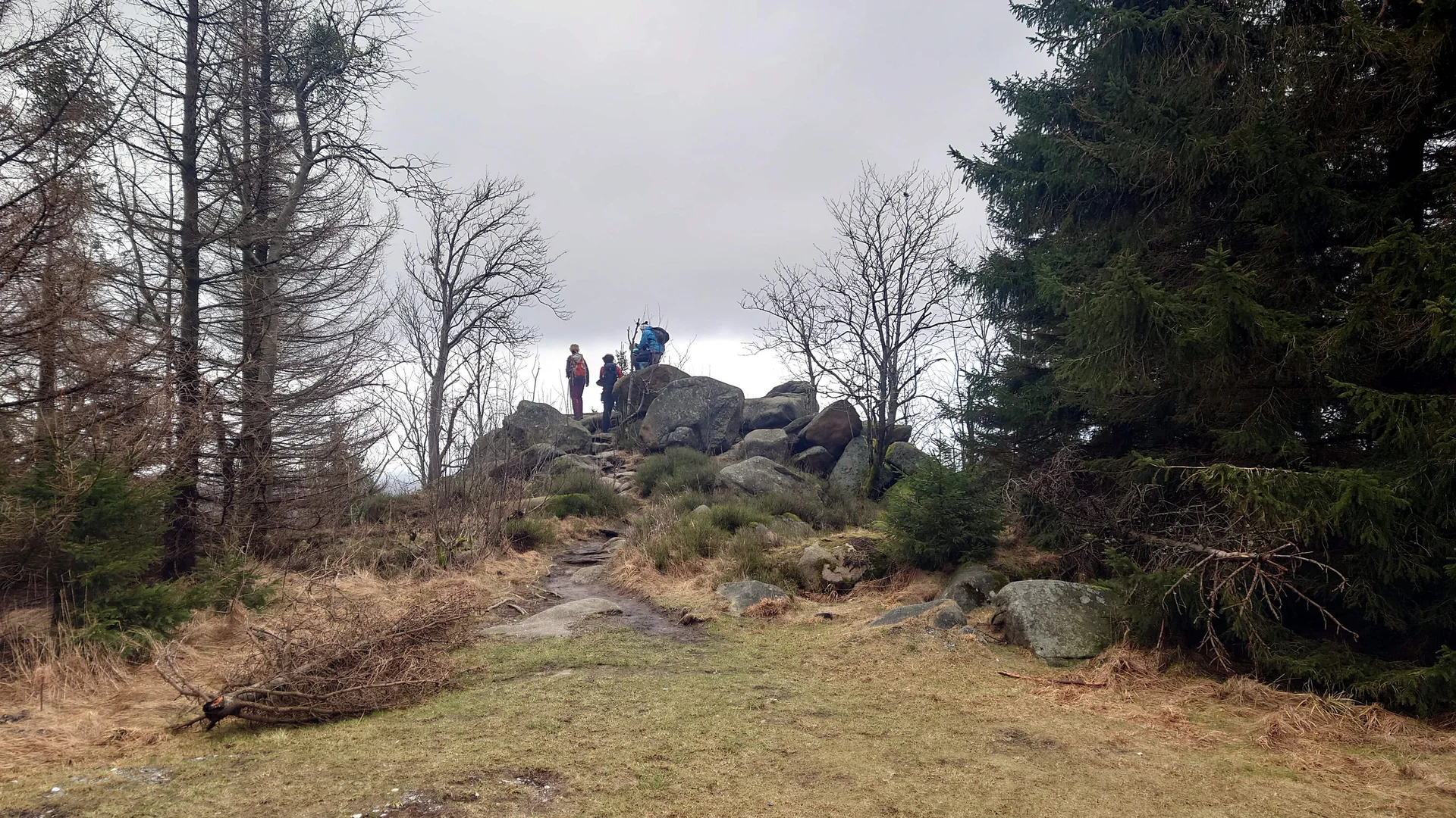 Hermannsklippe | © DAV Magdeburg