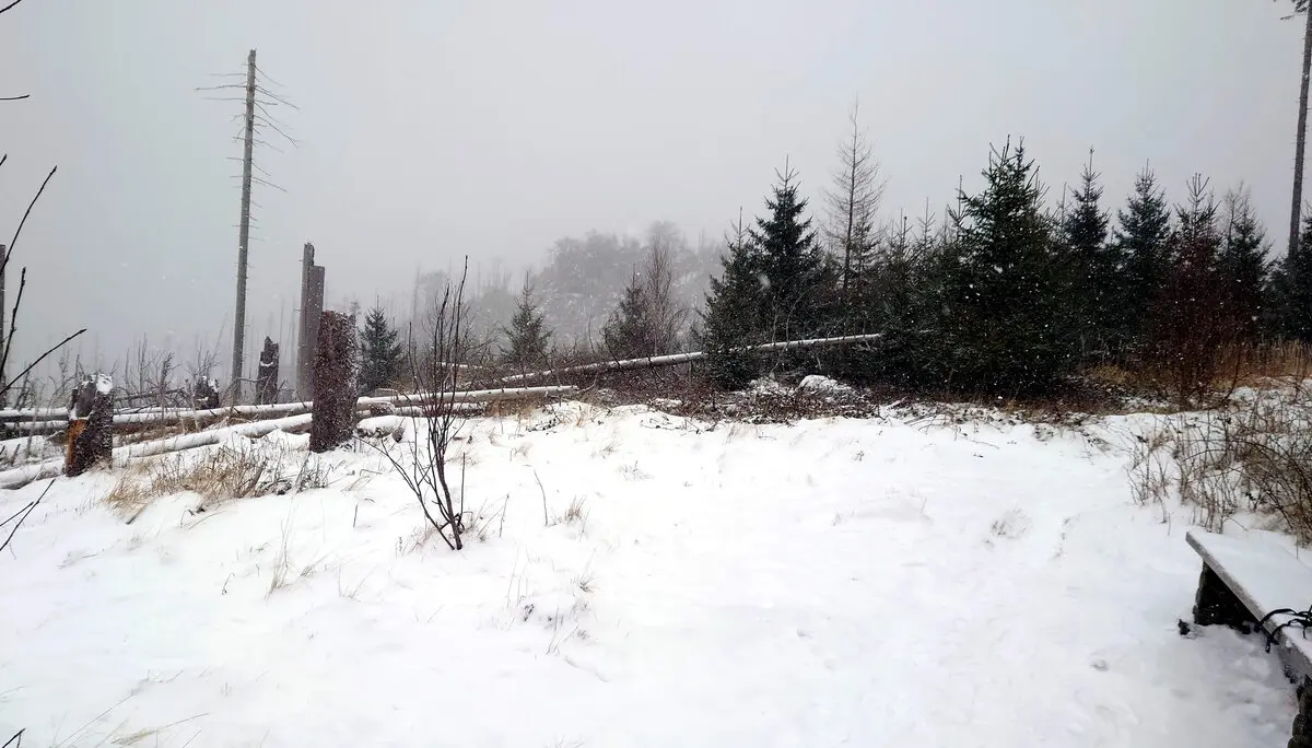 Ferdinandstein | © DAV Magdeburg