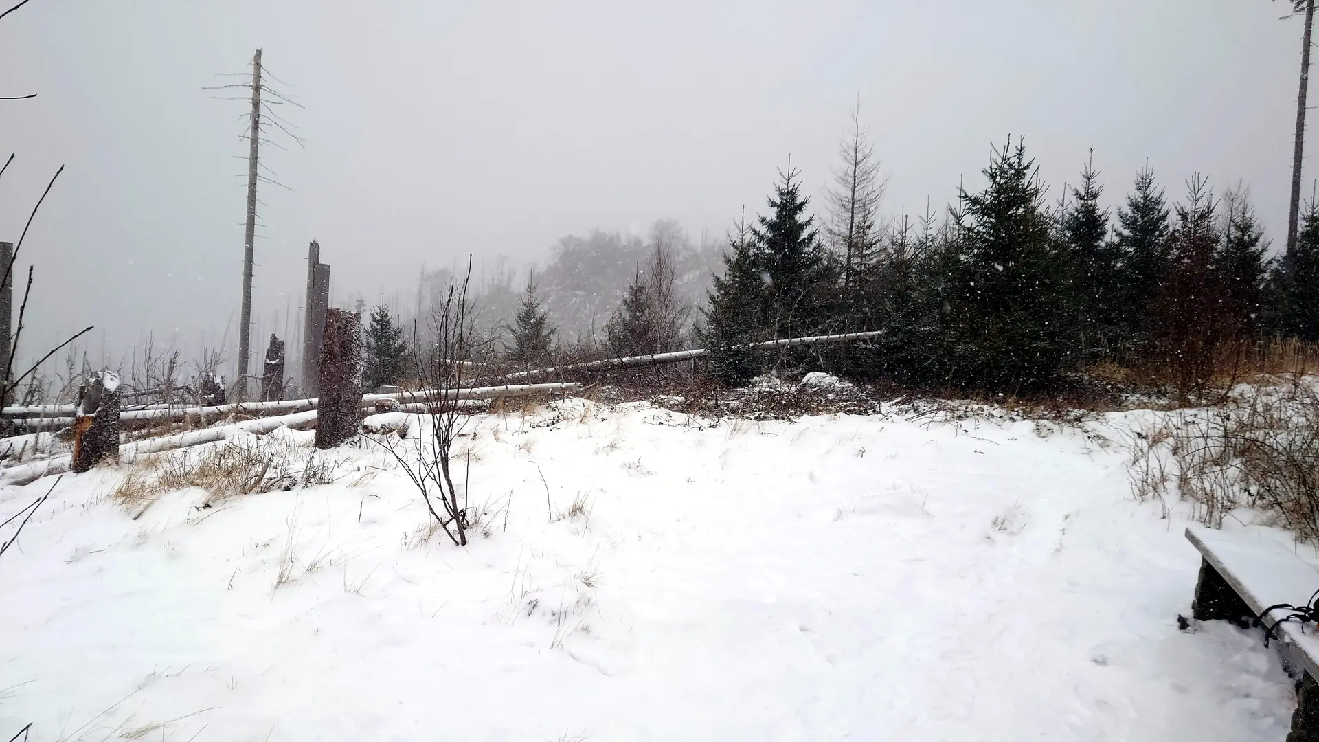 Ferdinandstein | © DAV Magdeburg