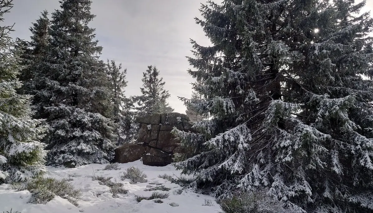 Brockenkinder | © DAV Magdeburg