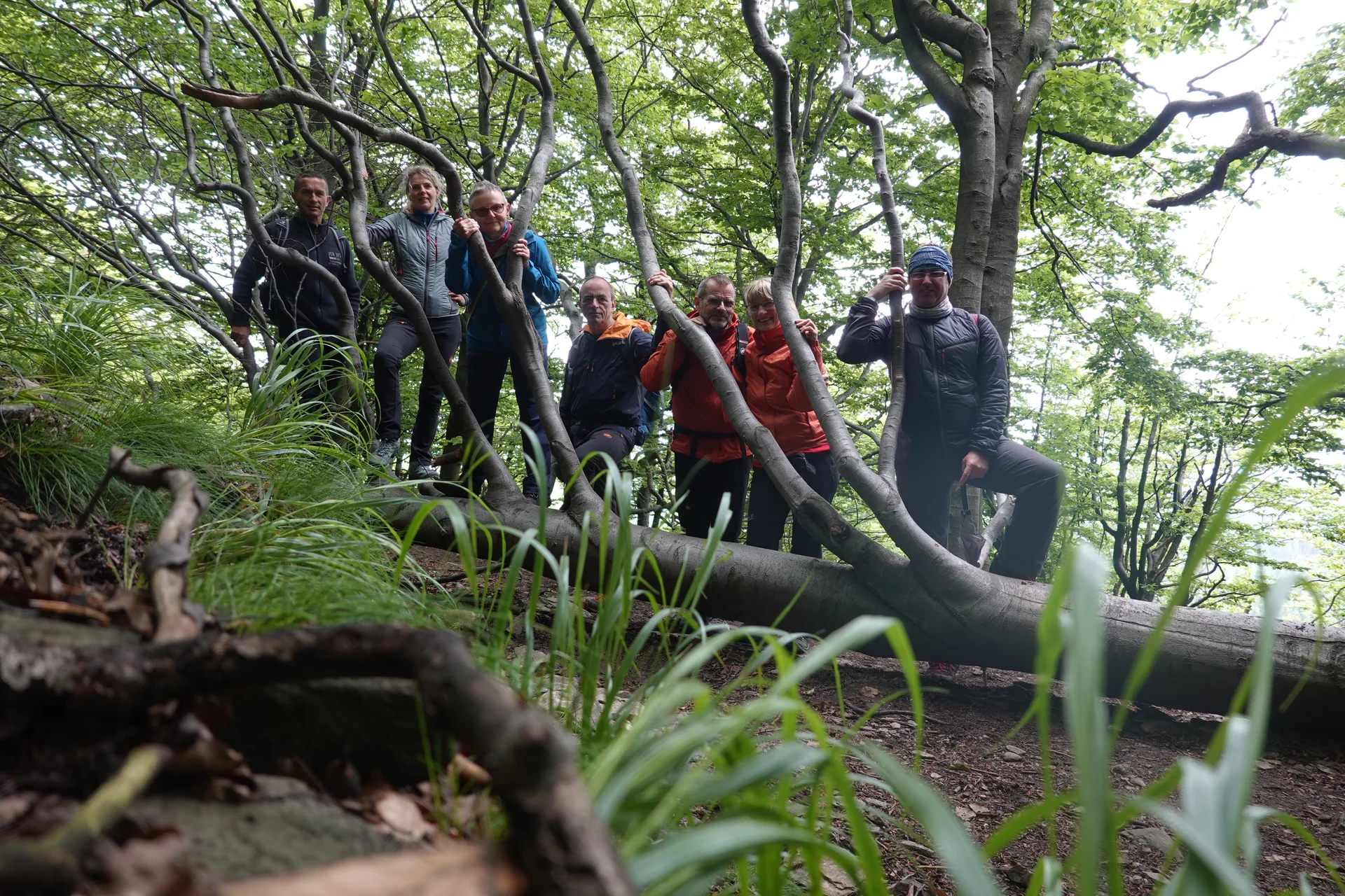 Gruppenbild Kletterwoche | © DAV Magdeburg