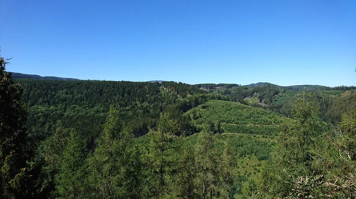 Blick vom Elverstein | © DAV Magdeburg