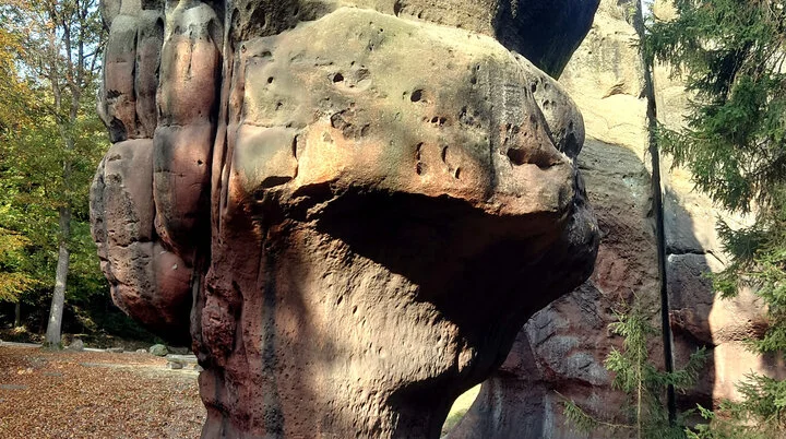 Kelchstein Oktober 2022 | © DAV Magdeburg