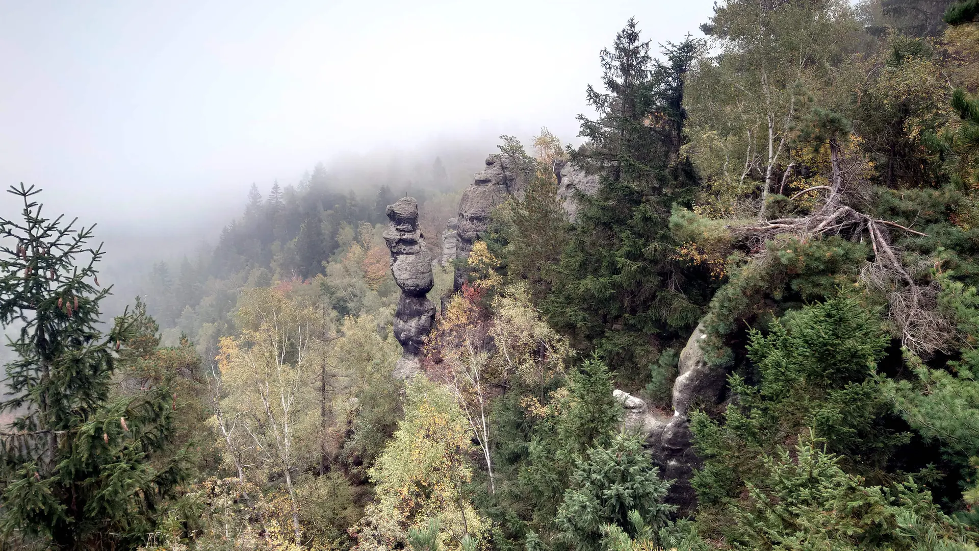 Felsnadel Jonsdorf | © DAV Magdeburg