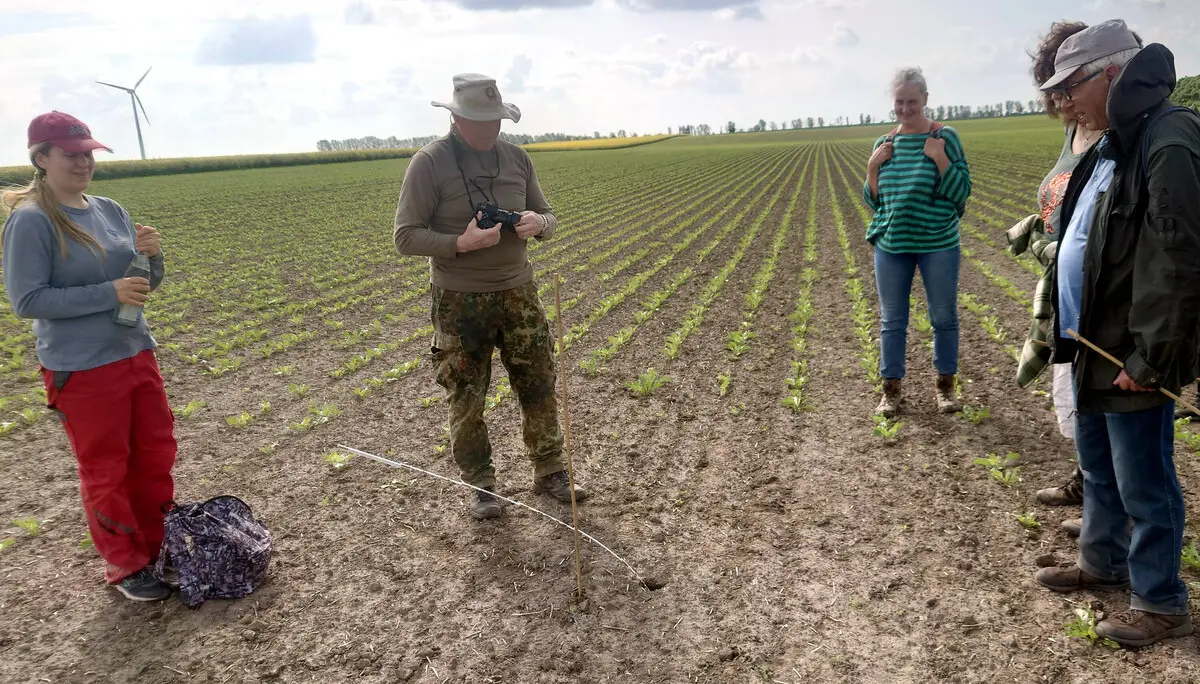 Artenschutzaktion 2022 Hamsterfund | © DAV Magdeburg