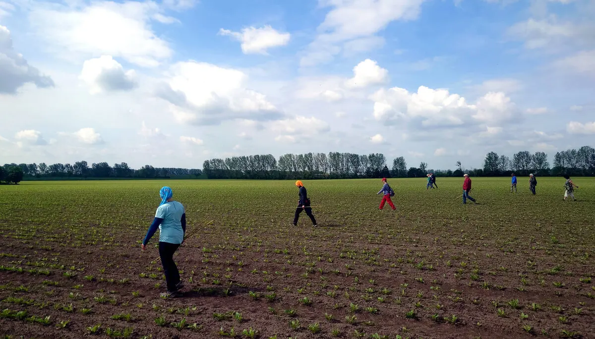 Ablaufen des Rübenackers | © DAV Magdeburg