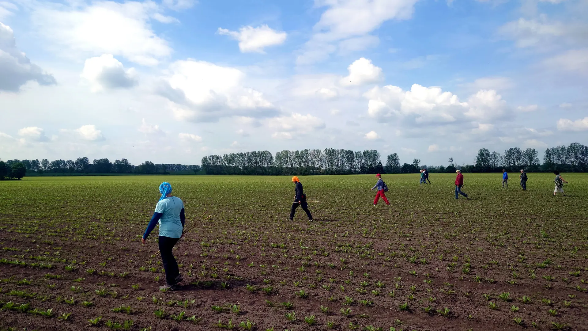 Ablaufen des Rübenackers | © DAV Magdeburg