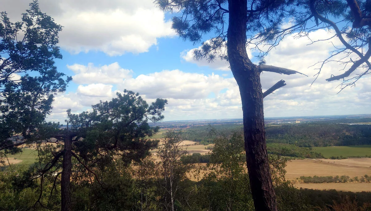 Blick ins Harzvorland | © Ulrich Hoeding
