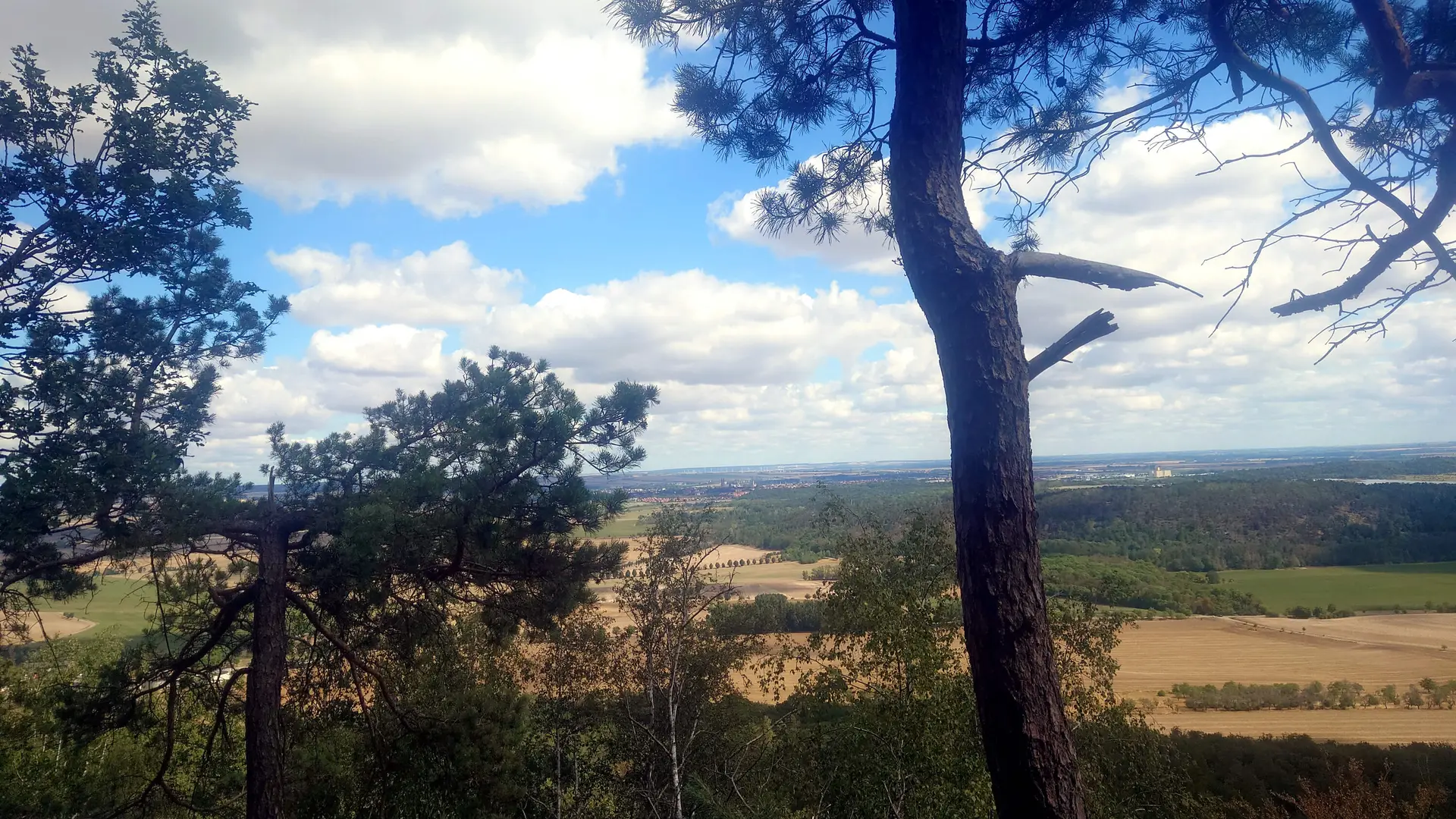 Blick ins Harzvorland | © Ulrich Hoeding