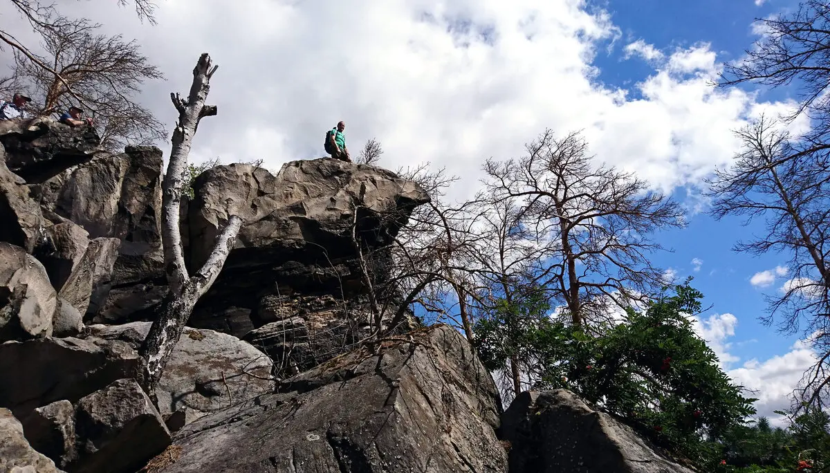 Hoppelnase | © Ulrich Hoeding