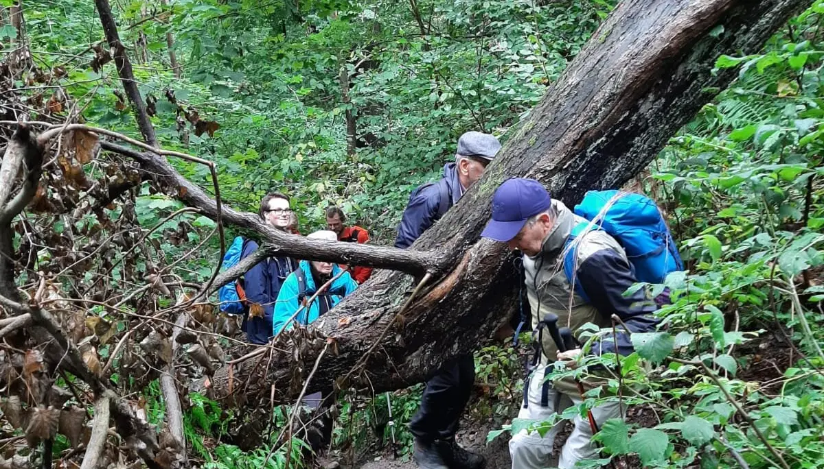 2024 Traditionswanderung | © DAV Magdeburg