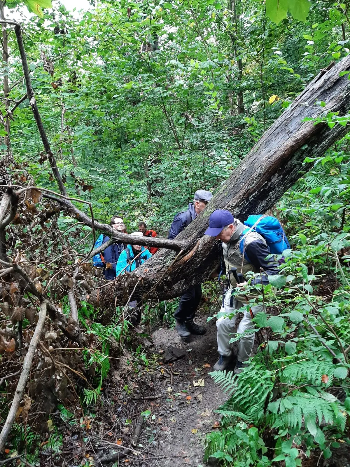 2024 Traditionswanderung | © DAV Magdeburg