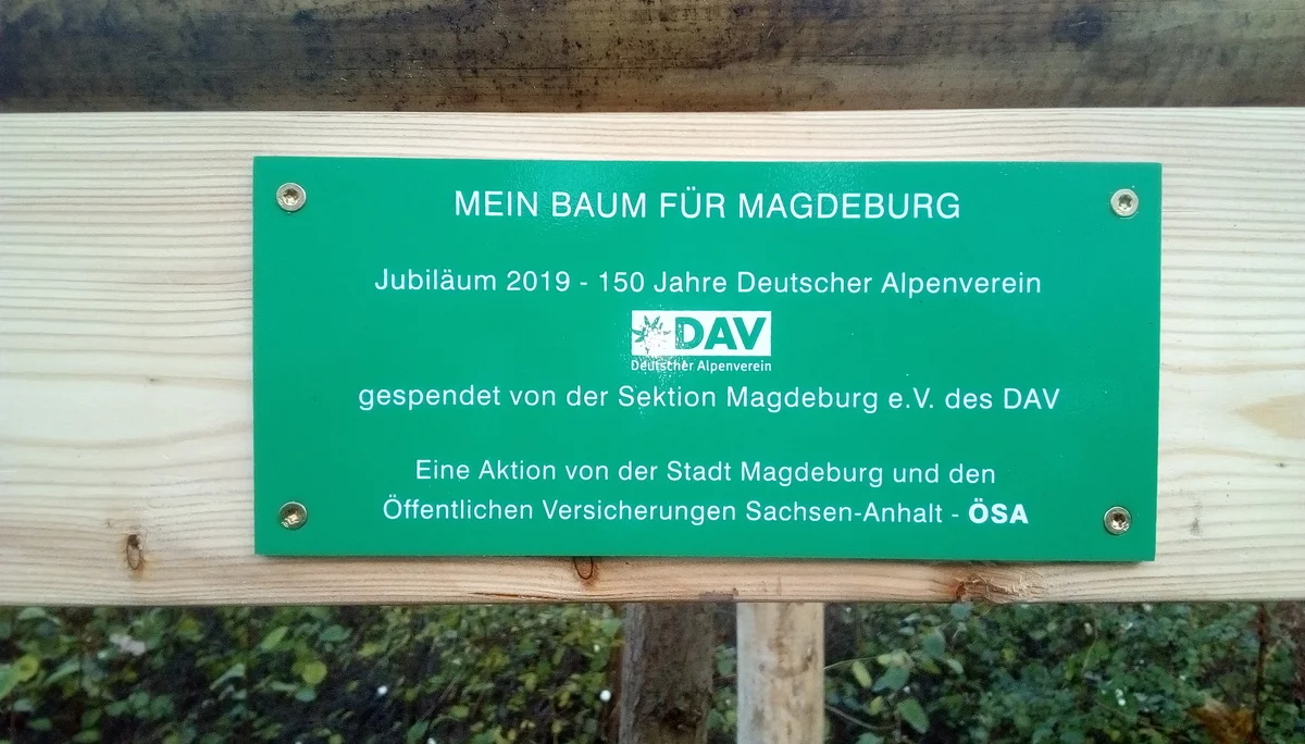Unser Baum für Magdeburg | © DAV-Sektion Magdeburg 2019