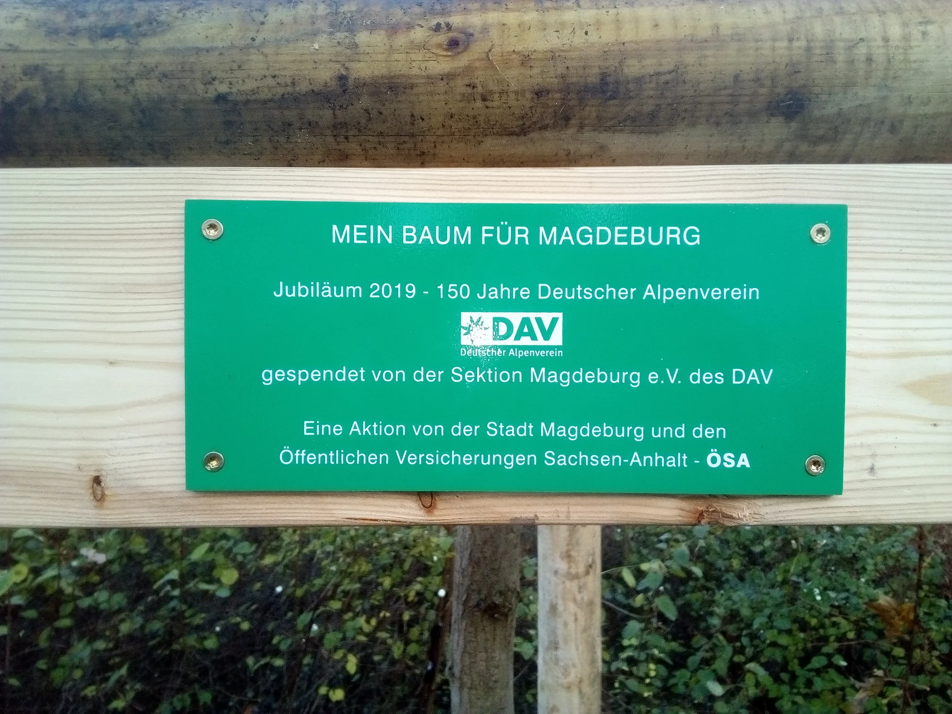 Unser Baum für Magdeburg | © DAV-Sektion Magdeburg 2019