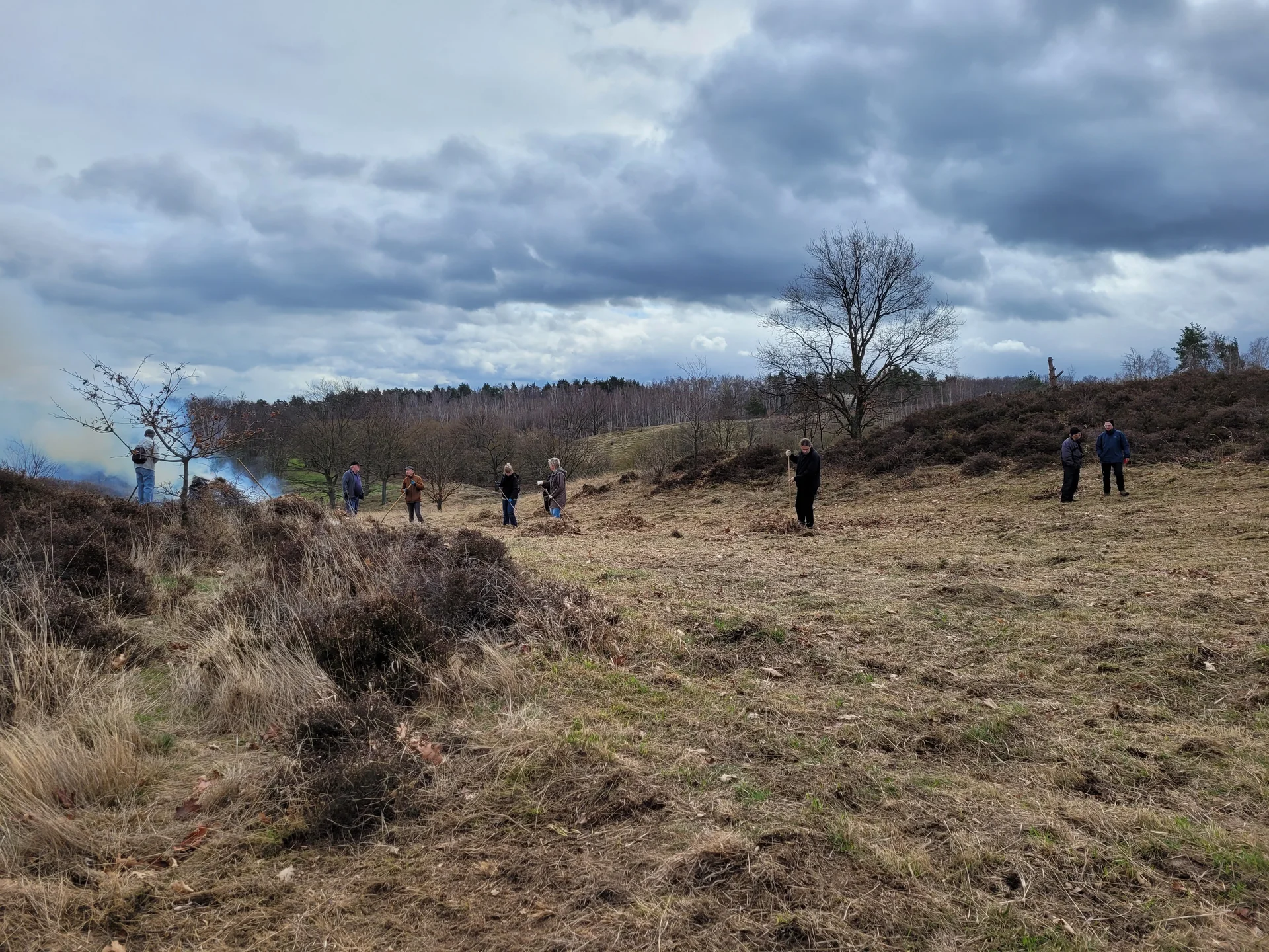 Harsleber Berge 2023 | © DAV Magdeburg