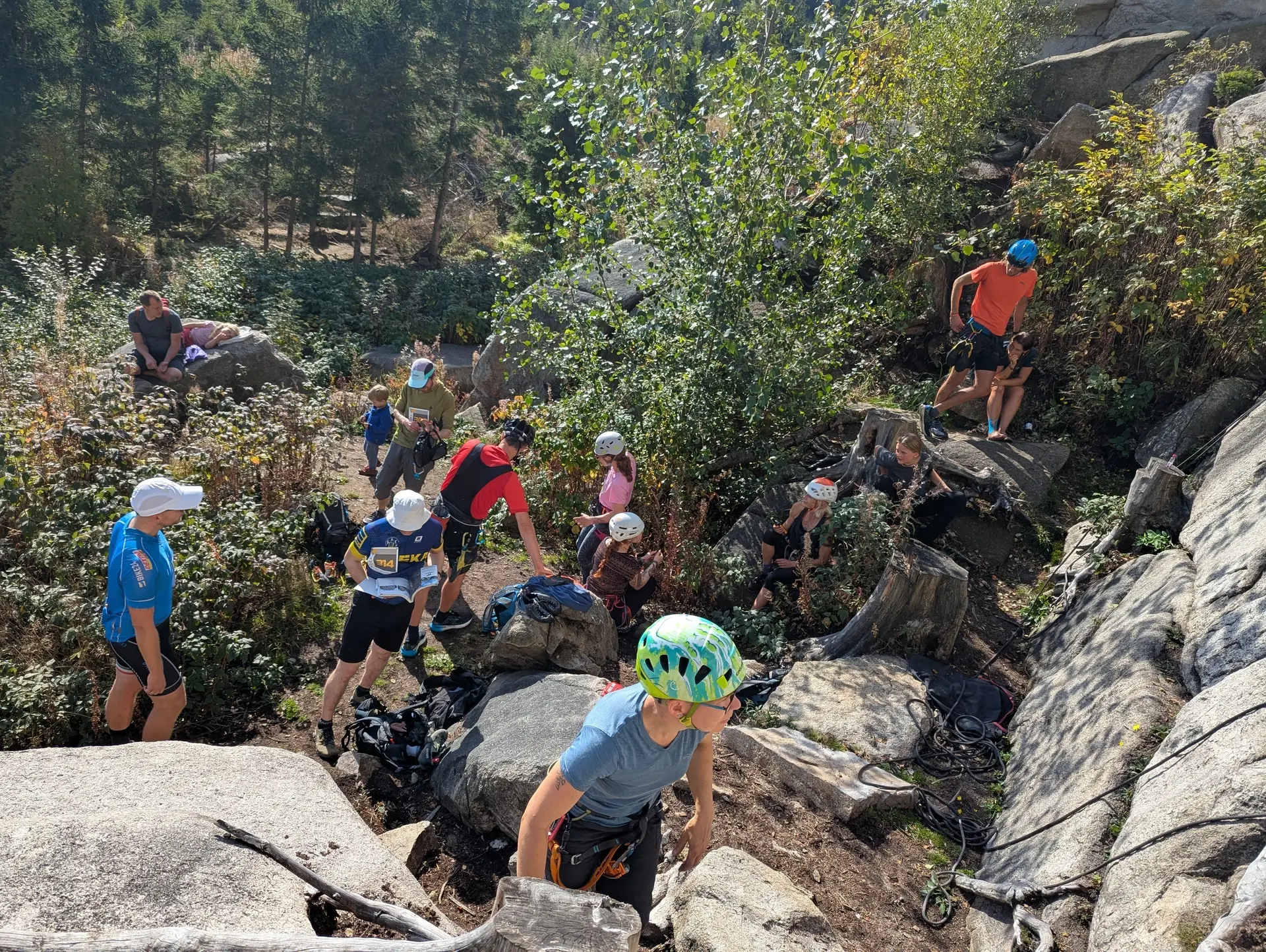 Buntes Treiben an den Mäuseklippen | © 2025 Marcel Benecke