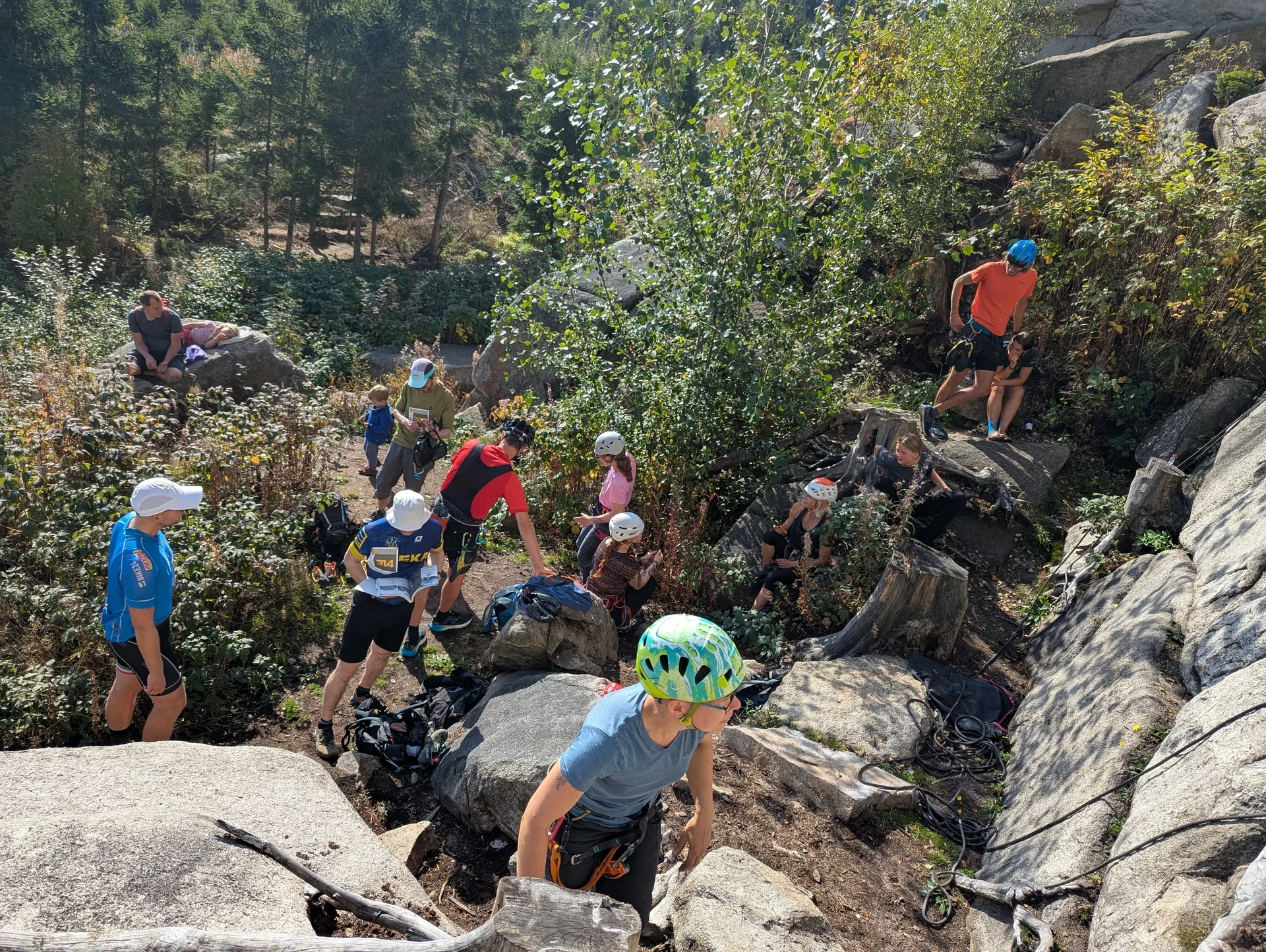 Buntes Treiben an den Mäuseklippen | © 2025 Marcel Benecke