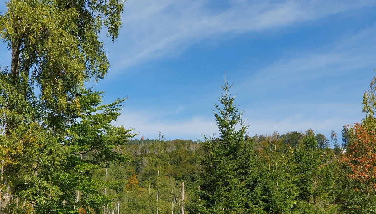 Wurmberg in Sicht | © 2025 Marcel Benecke