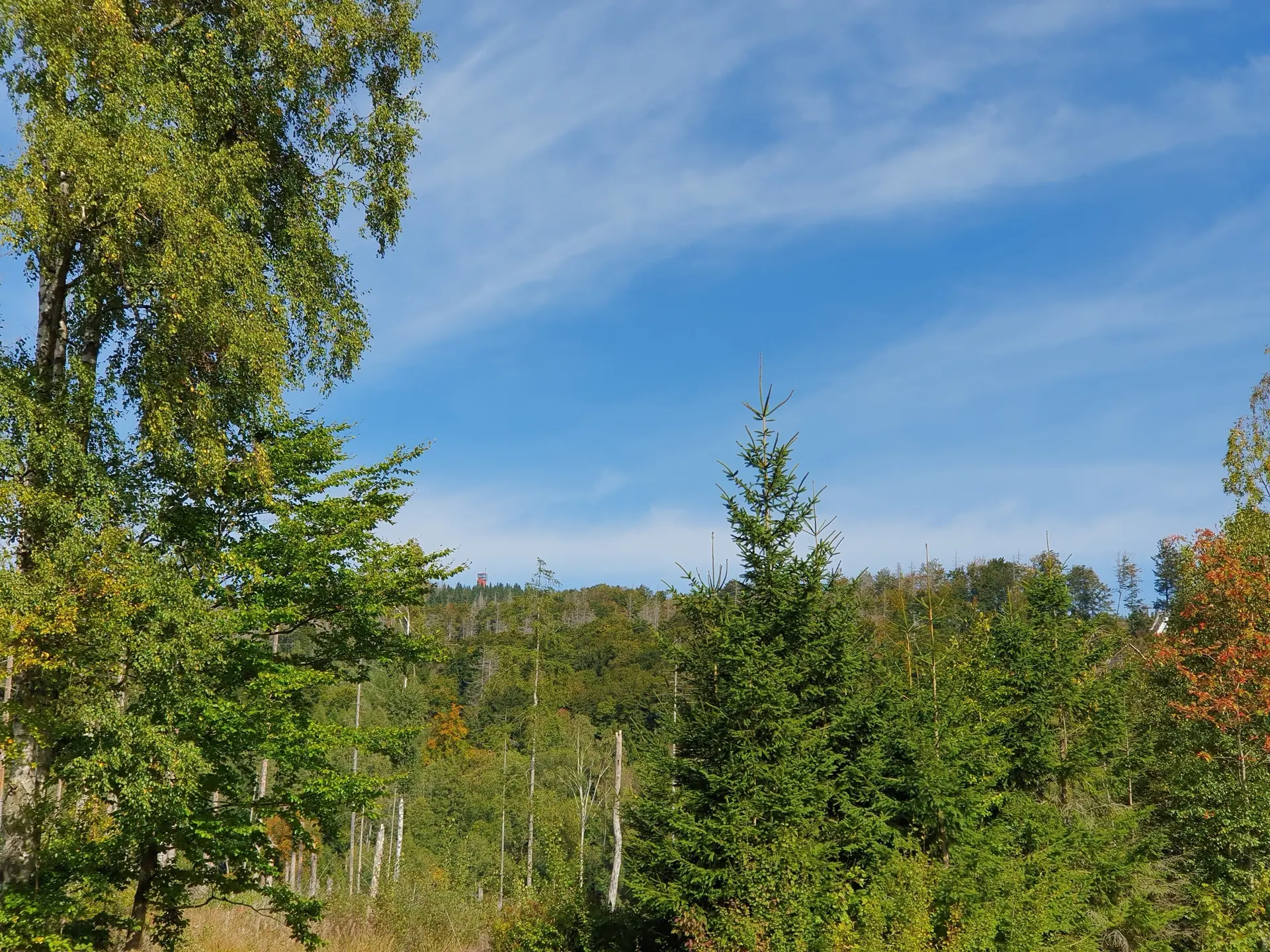 Wurmberg in Sicht | © 2025 Marcel Benecke