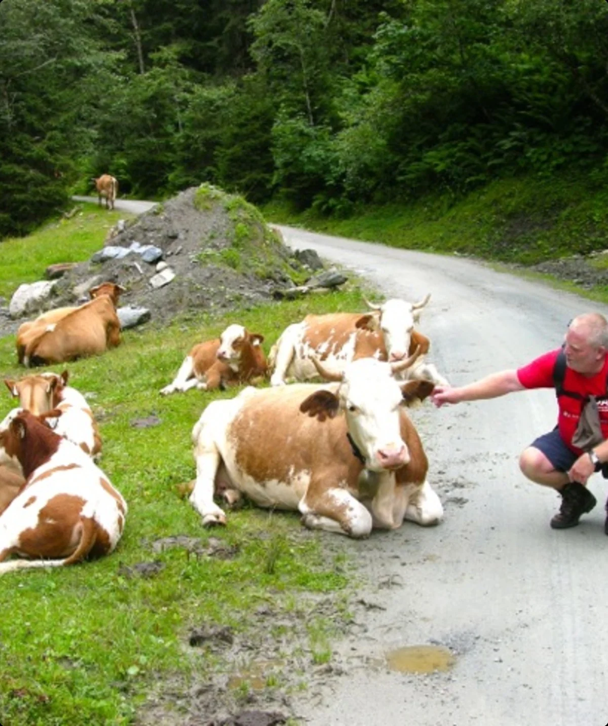 Wanderwoche Salzachtal | © Hans Gropp 2014